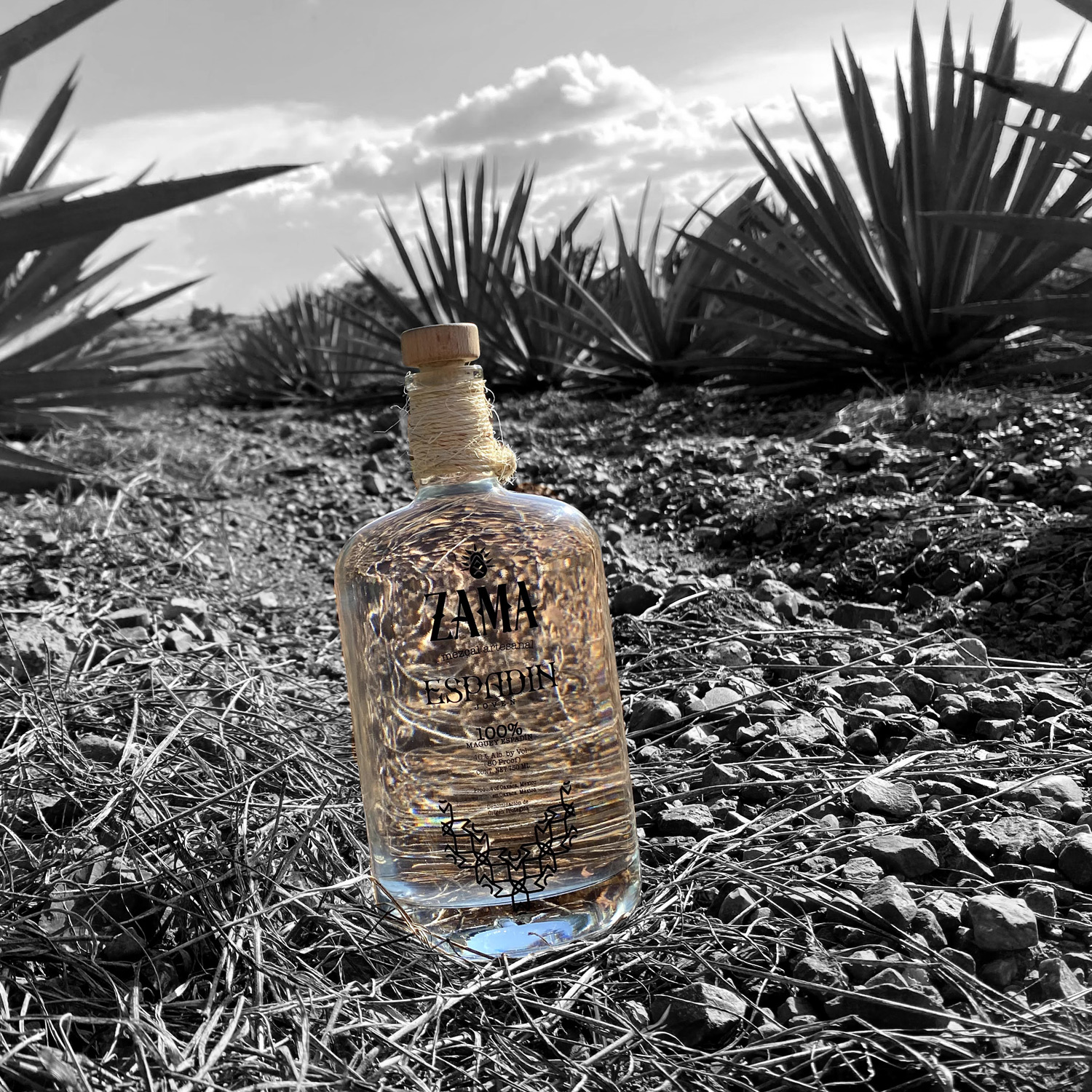 Zama Mezcal